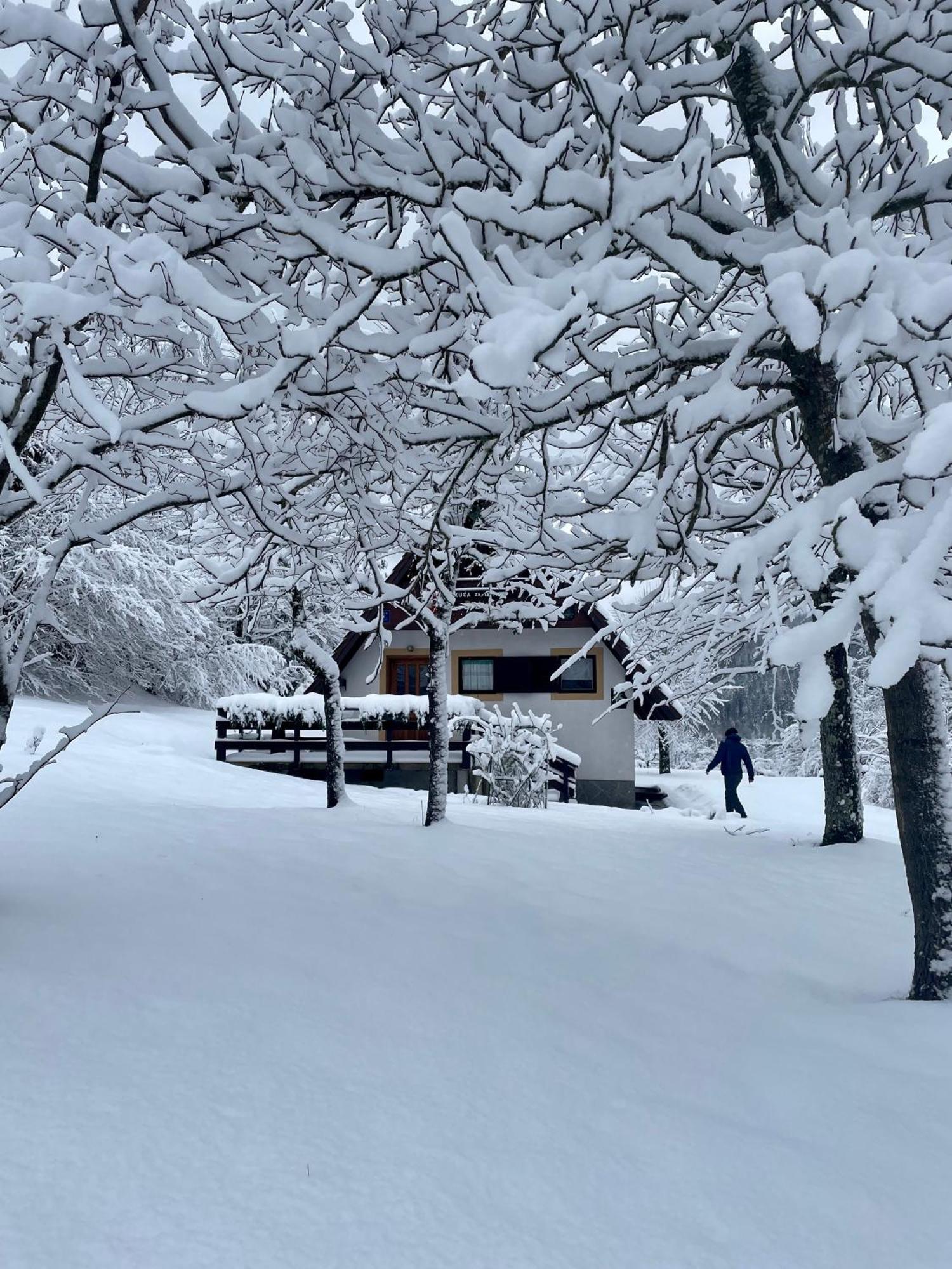 Holiday Home Bozica Локве Экстерьер фото